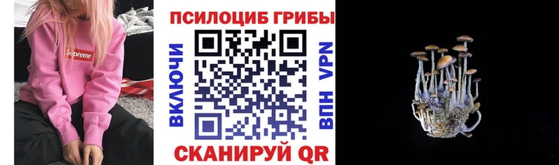 Купить  Рыльск  Галлюциногенные грибы Magic Shrooms 